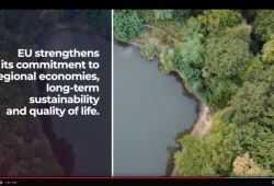 REEP Ecoloans (KfW, 2025)