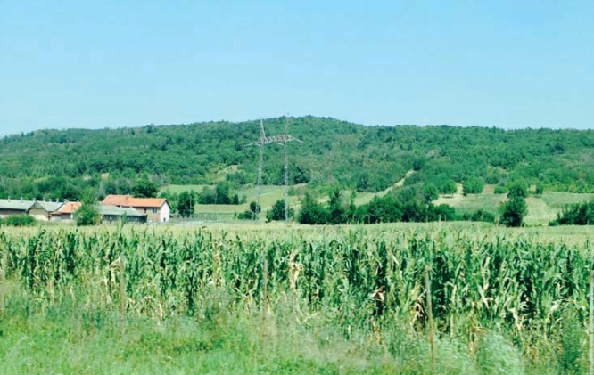 Trans-Balkan Electricity Corridor: Grid Section in Montenegro