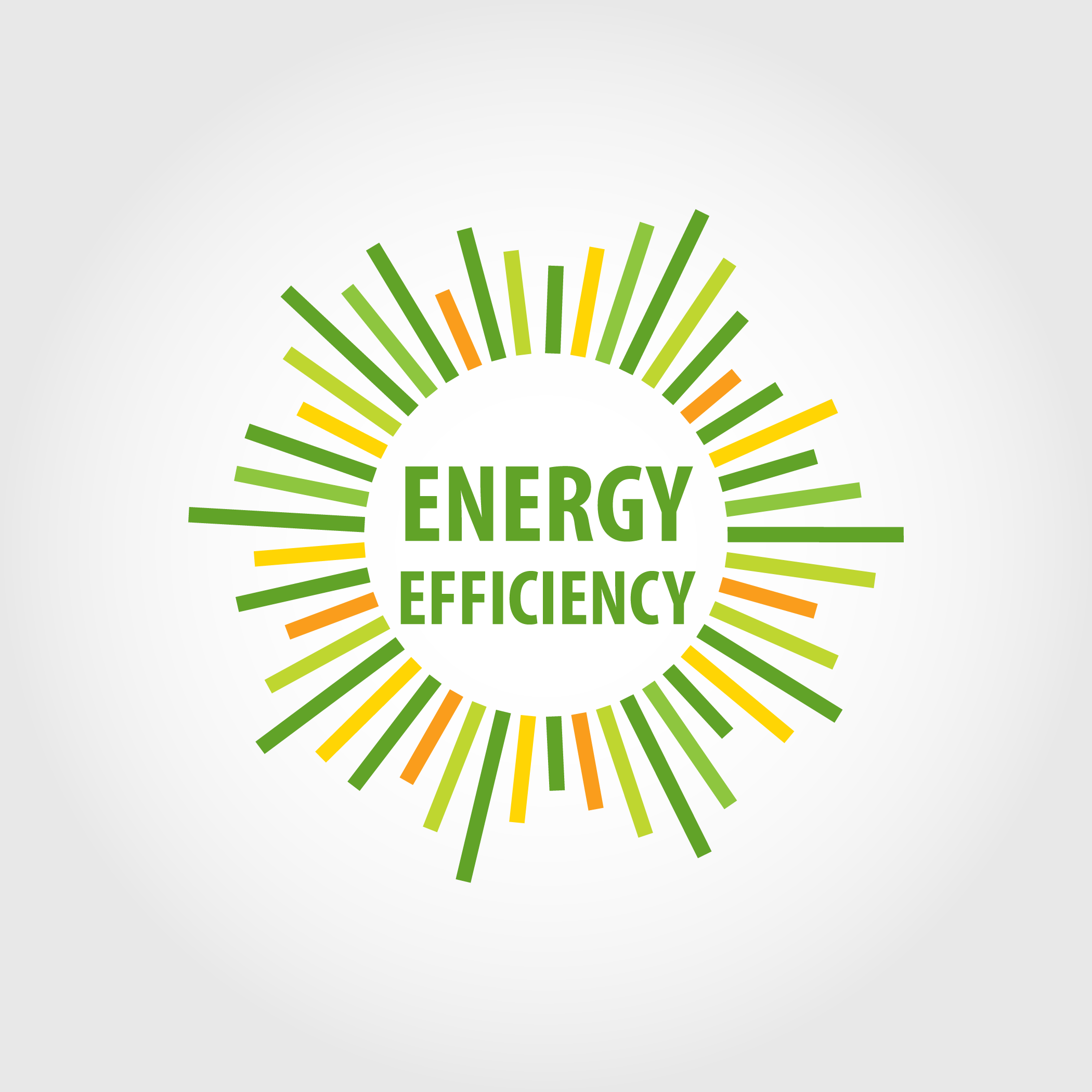 Establishment of a Regional Energy Efficiency Programme (REEP) for the Western Balkans