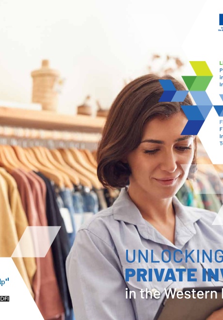 WBIF Private Sector Booklet