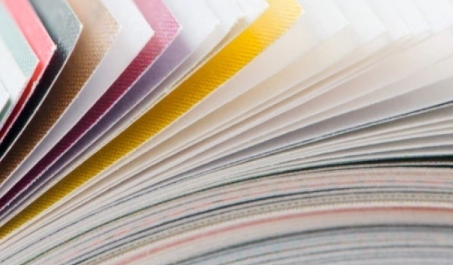 Updated WBIF factsheets now available